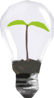 Textured Cutout Light Bulb with Plant