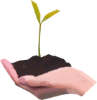 Textured Cutout Hand Carrying a Seedling