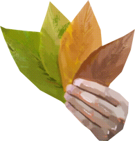 Textured Cutout Hand Holding Leaves
