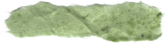 Moss Green Colored Paper