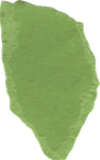 Green Colored Paper