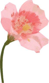 Textured Cutout Flower